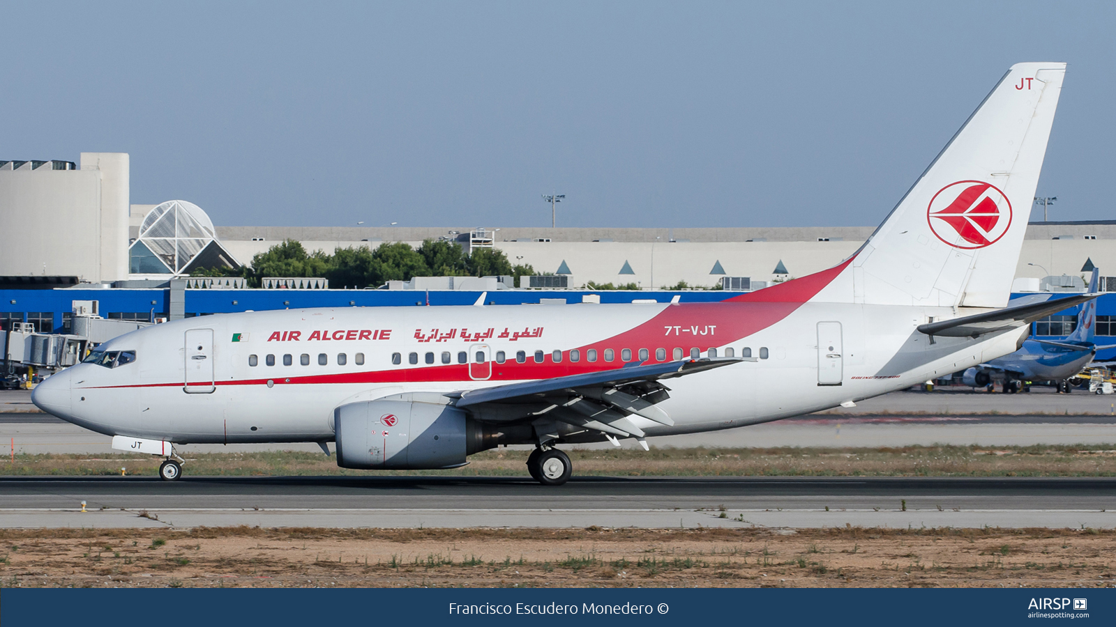 Air Algerie  Boeing 737-600  7T-VJT