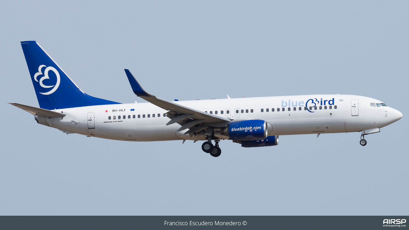 Blue Bird Airways  Boeing 737-800  9H-HLY