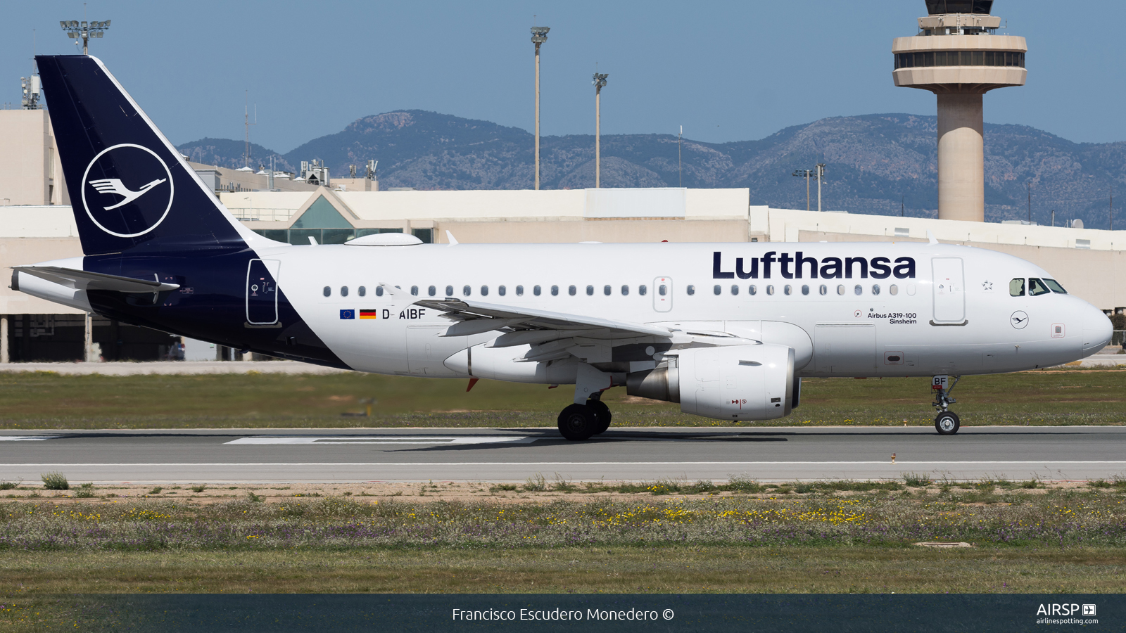 Lufthansa  Airbus A319  D-AIBF