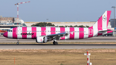 Condor