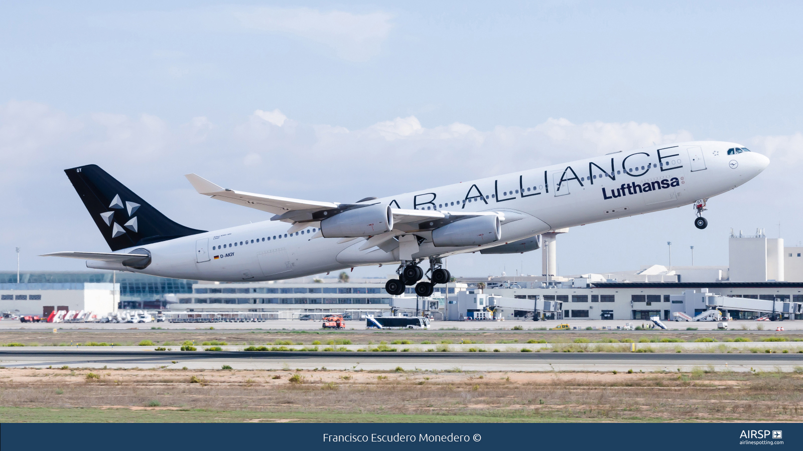 Lufthansa  Airbus A340-300  D-AIGY