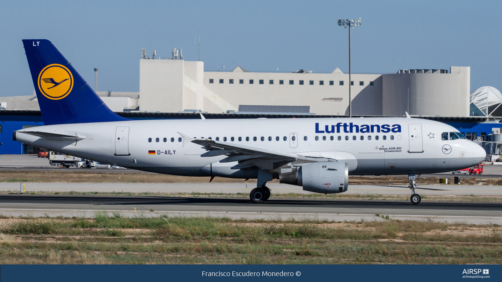 Lufthansa  Airbus A319  D-AILY
