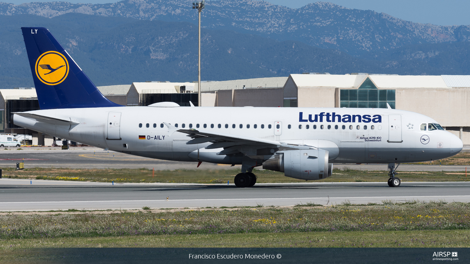 Lufthansa  Airbus A319  D-AILY