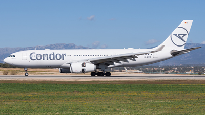 Condor