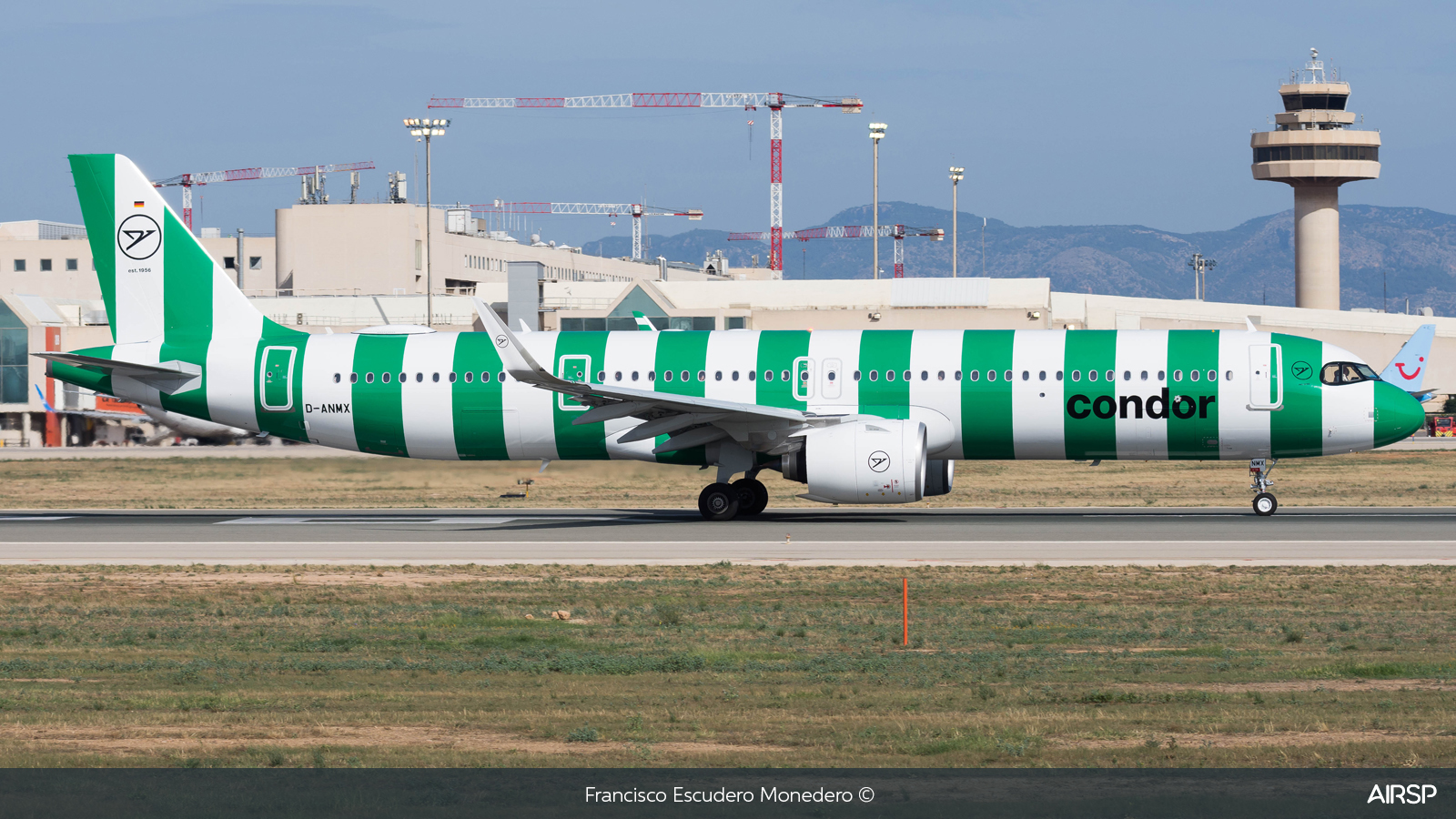 Condor  Airbus A321neo  D-ANMX