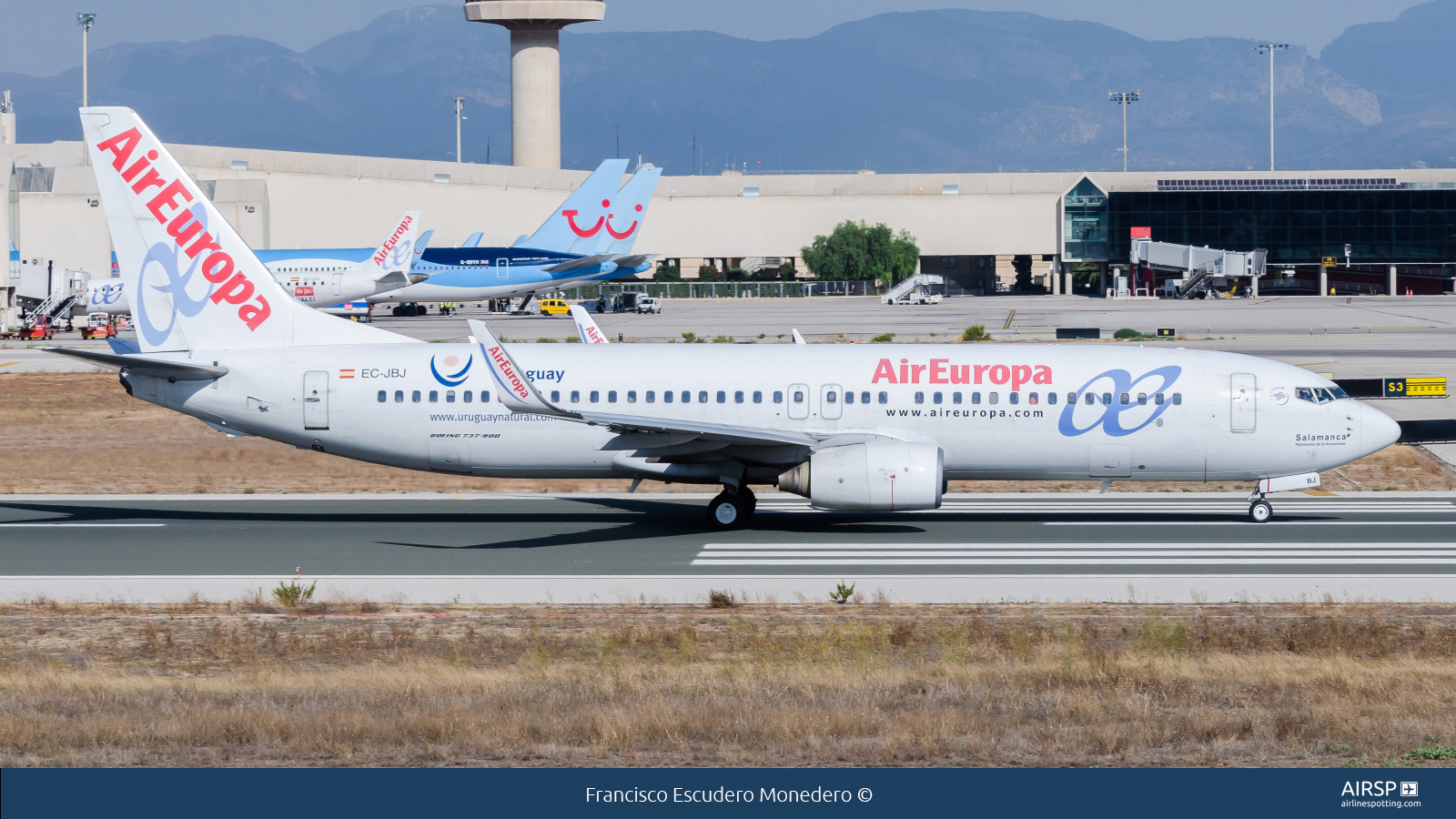 Air Europa  Boeing 737-800  EC-JBJ