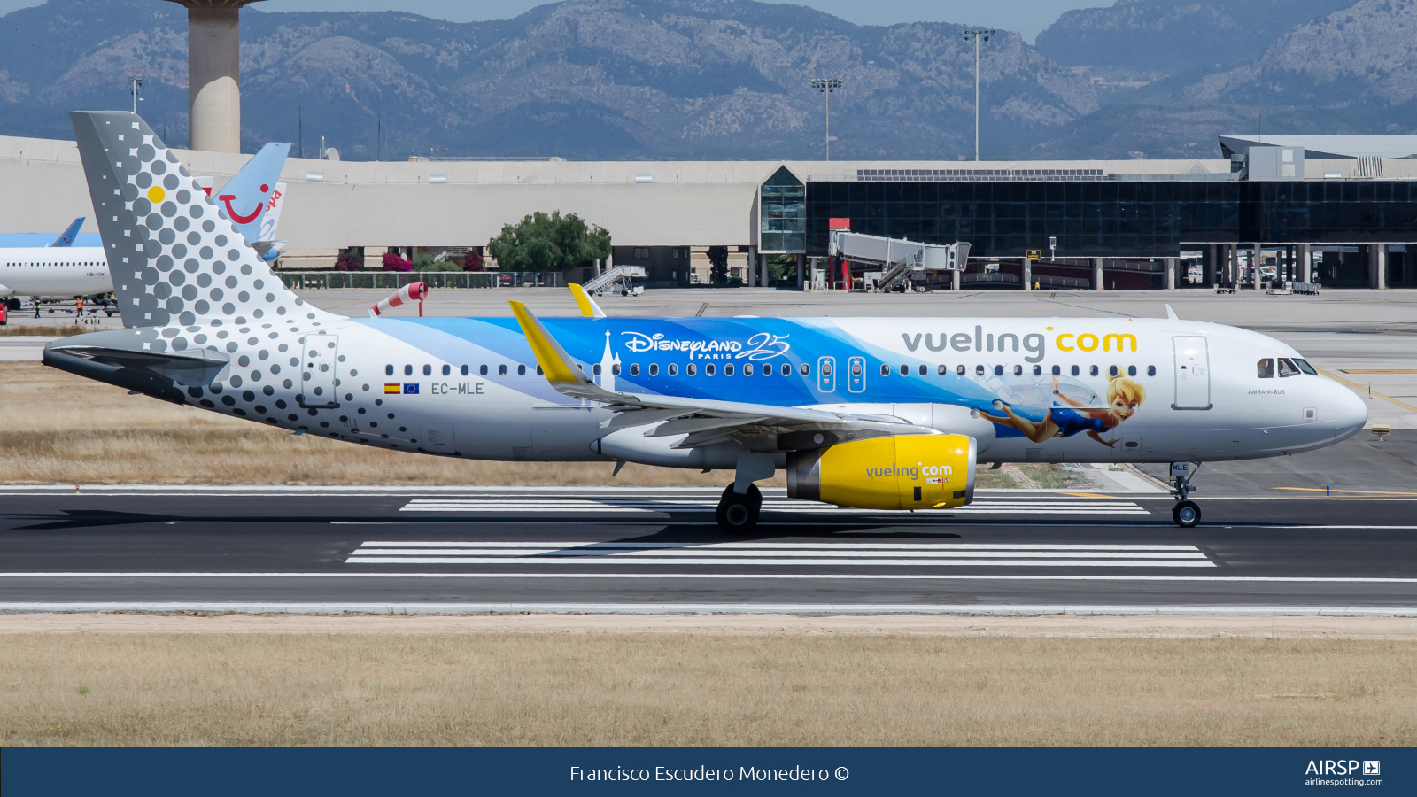 Vueling  Airbus A320  EC-MLE