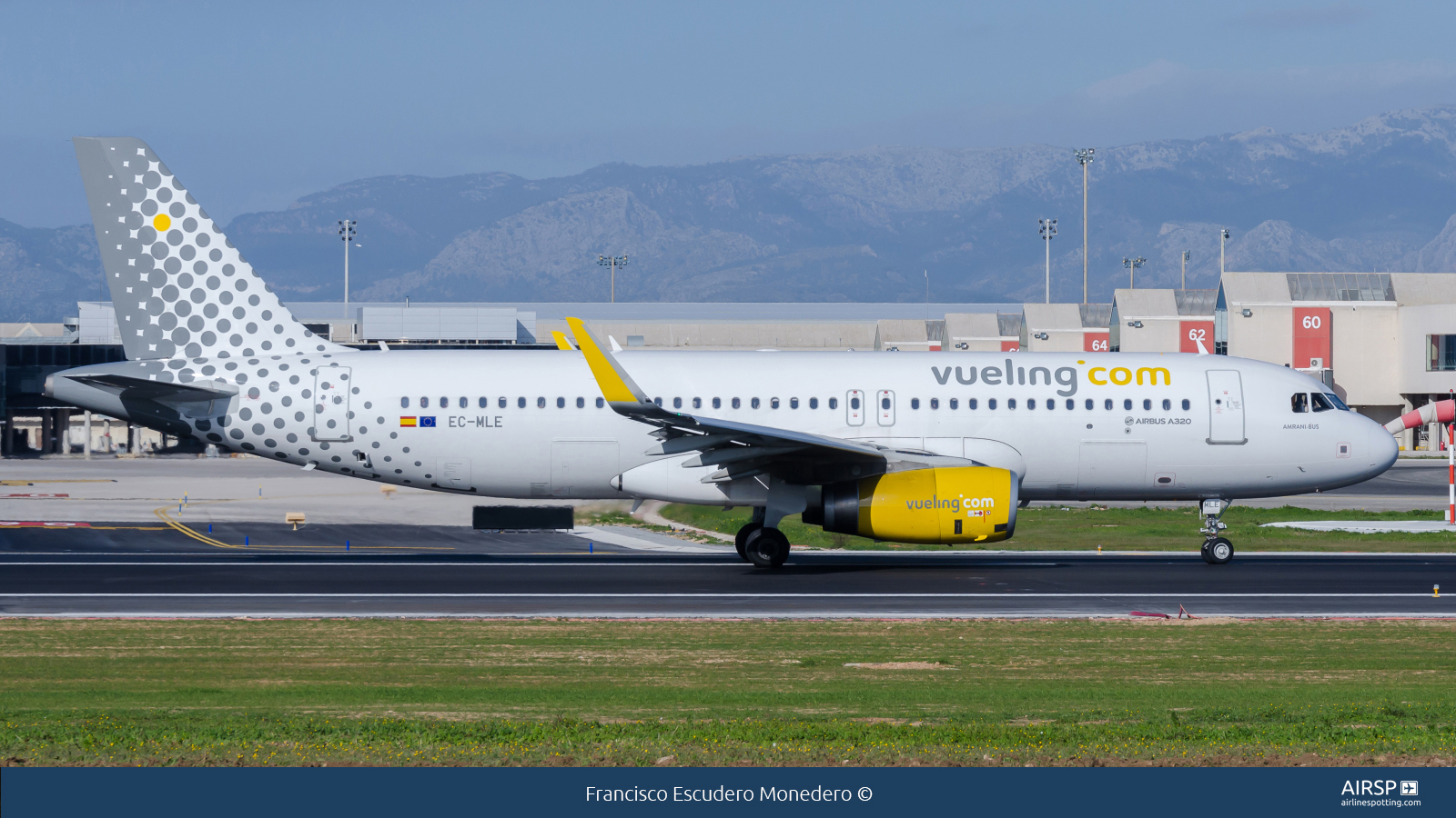 Vueling  Airbus A320  EC-MLE