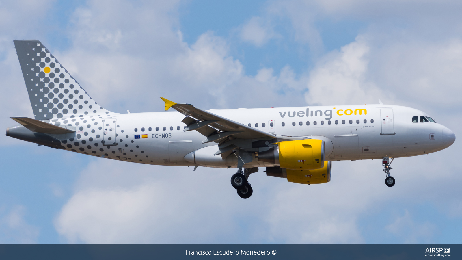 Vueling  Airbus A319  EC-NGB