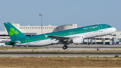 Aer Lingus