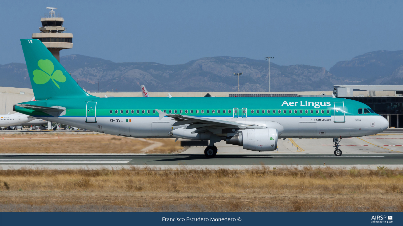 Aer Lingus  Airbus A320  EI-DVL