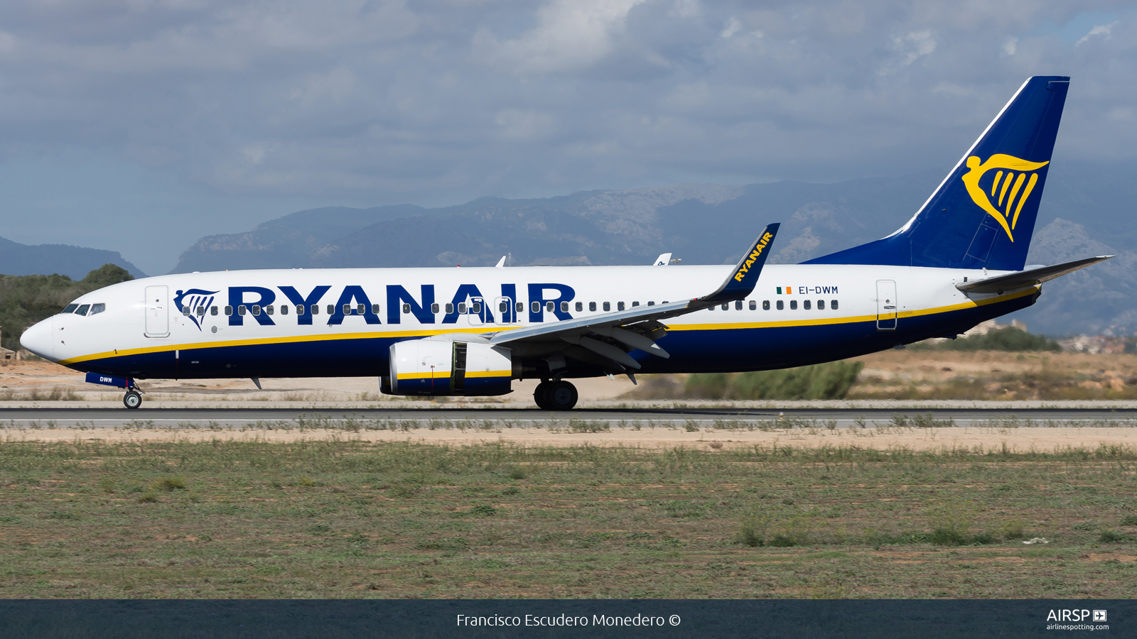 Ryanair  Boeing 737-800  EI-DWM
