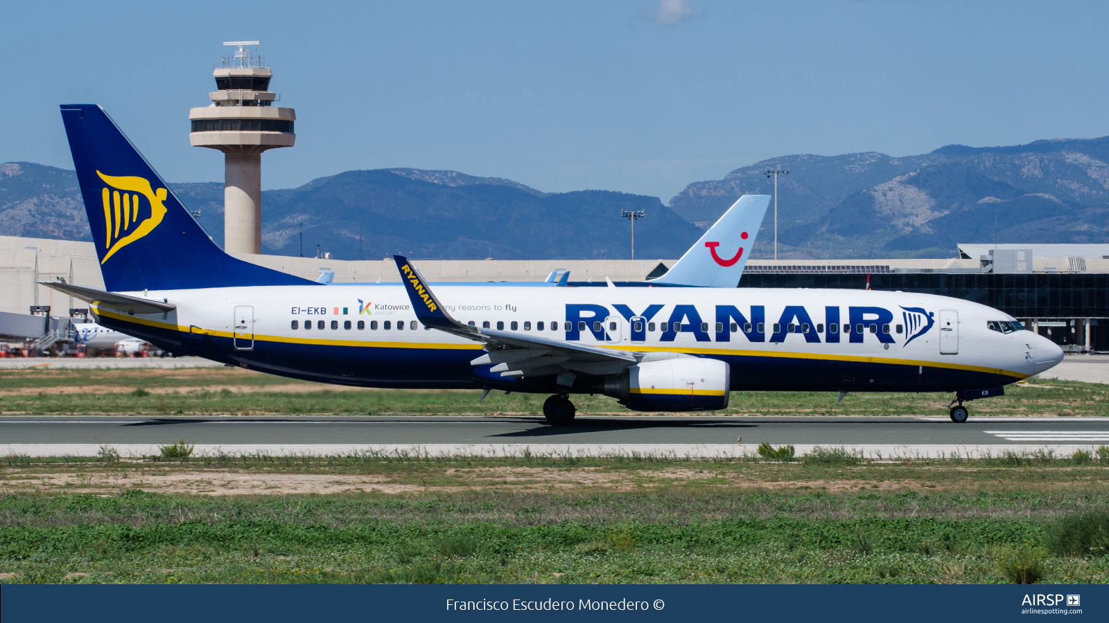 Ryanair  Boeing 737-800  EI-EKB