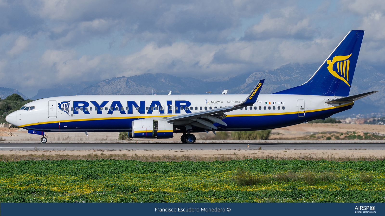 Ryanair  Boeing 737-800  EI-FIJ