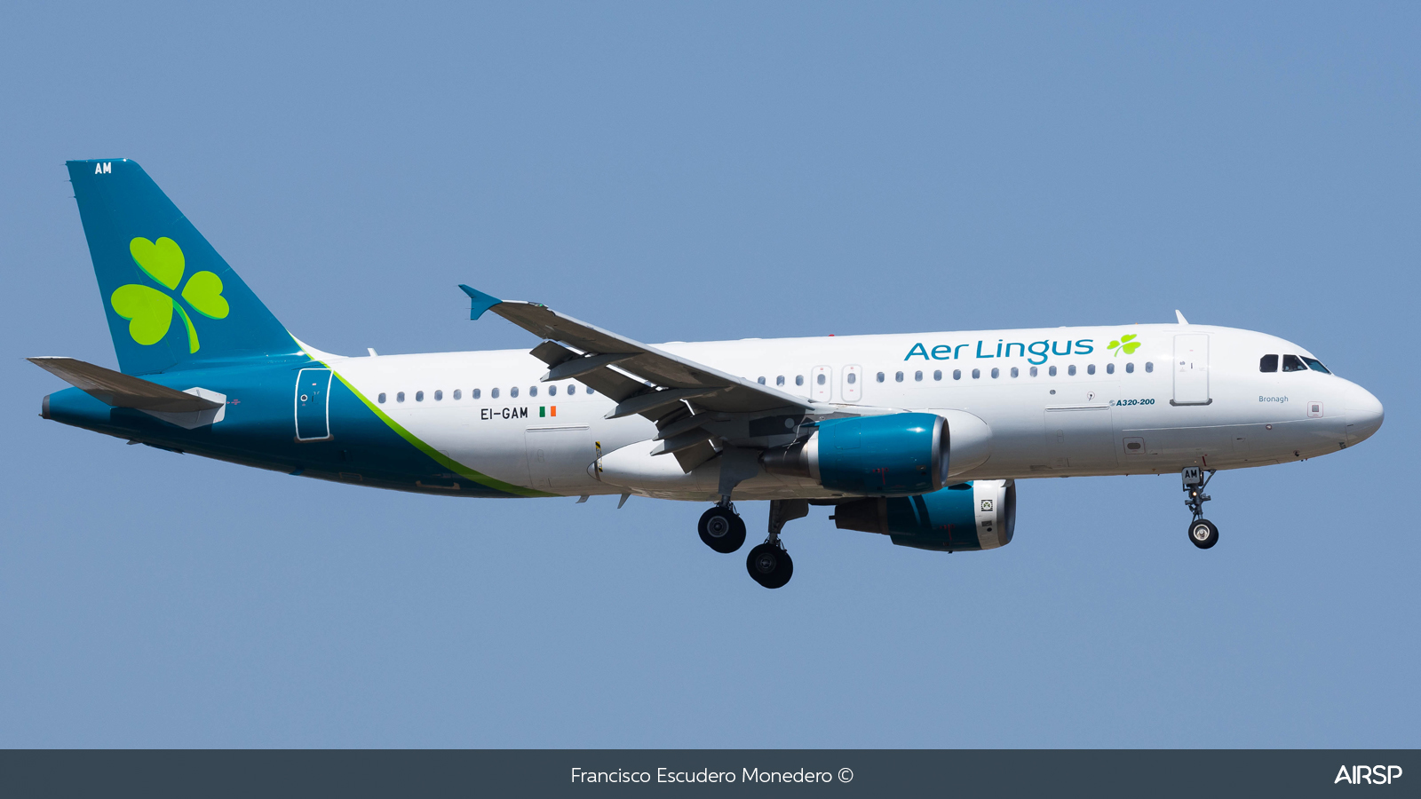 Aer Lingus  Airbus A320  EI-GAM