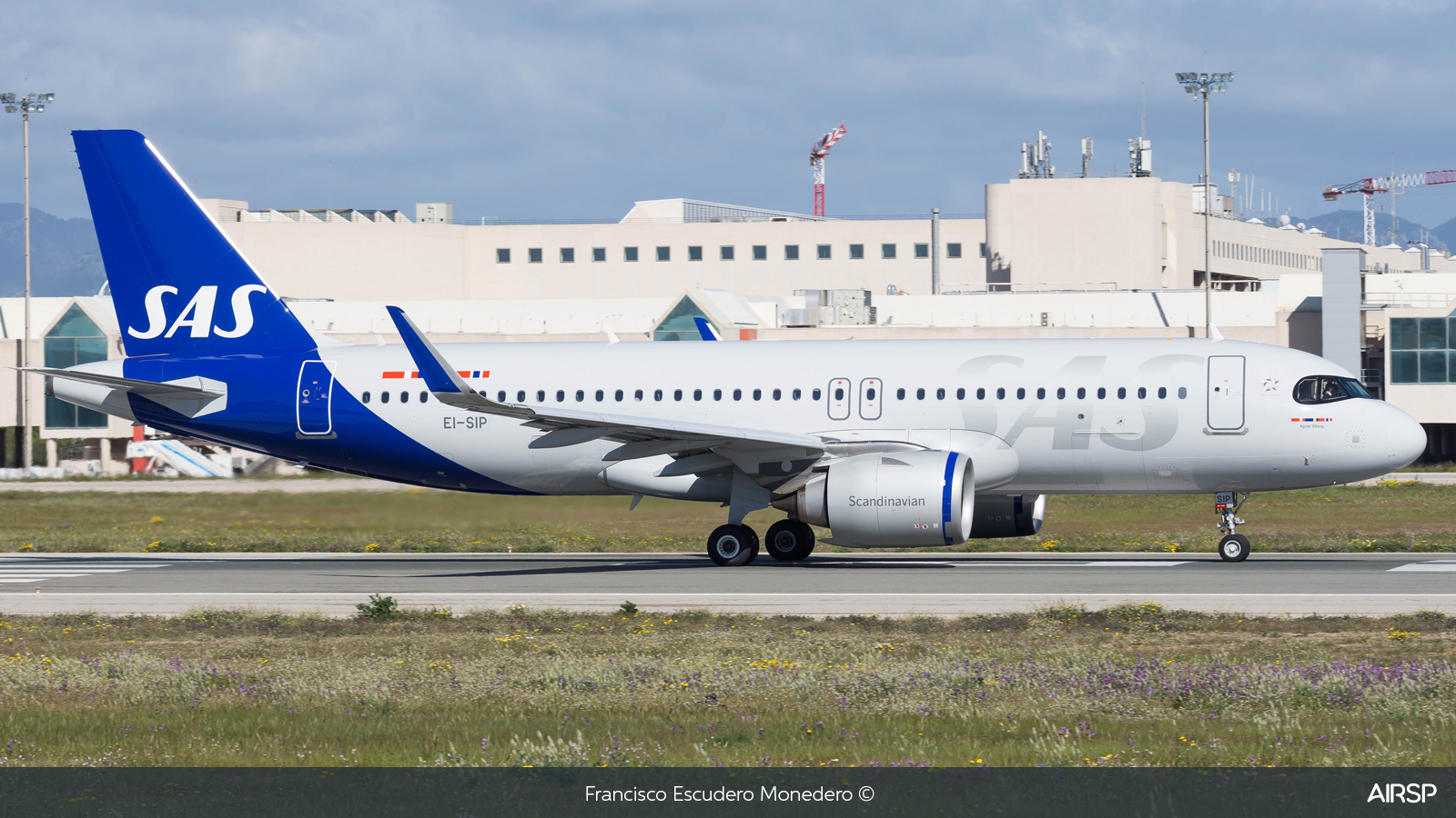 SAS Scandinavian Airlines  Airbus A320neo  EI-SIP