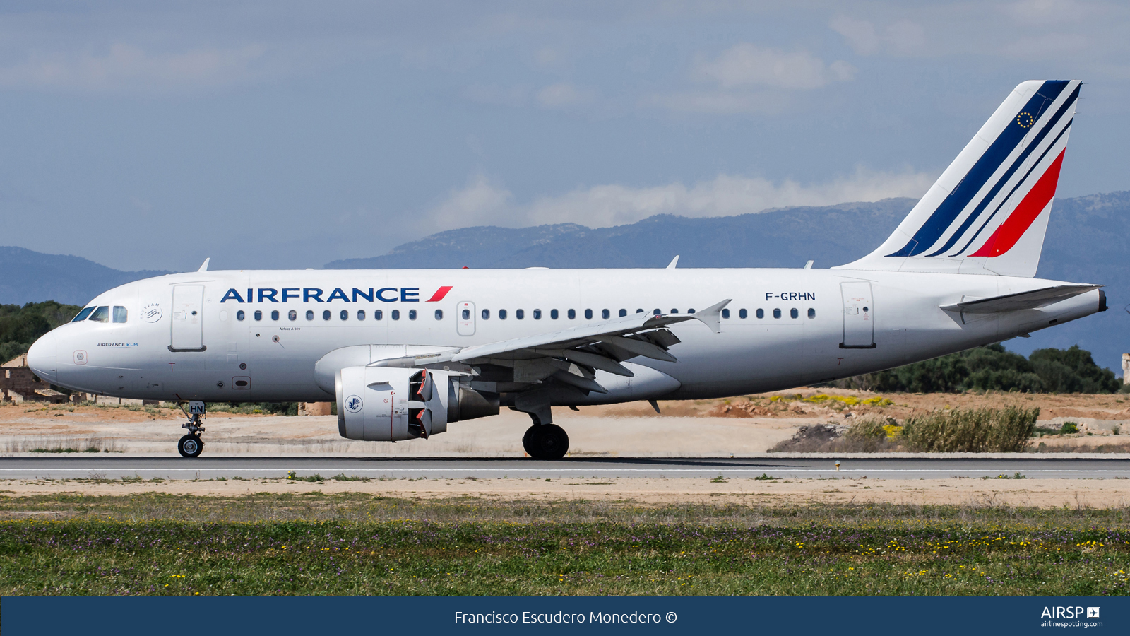 Air France  Airbus A319  F-GRHN