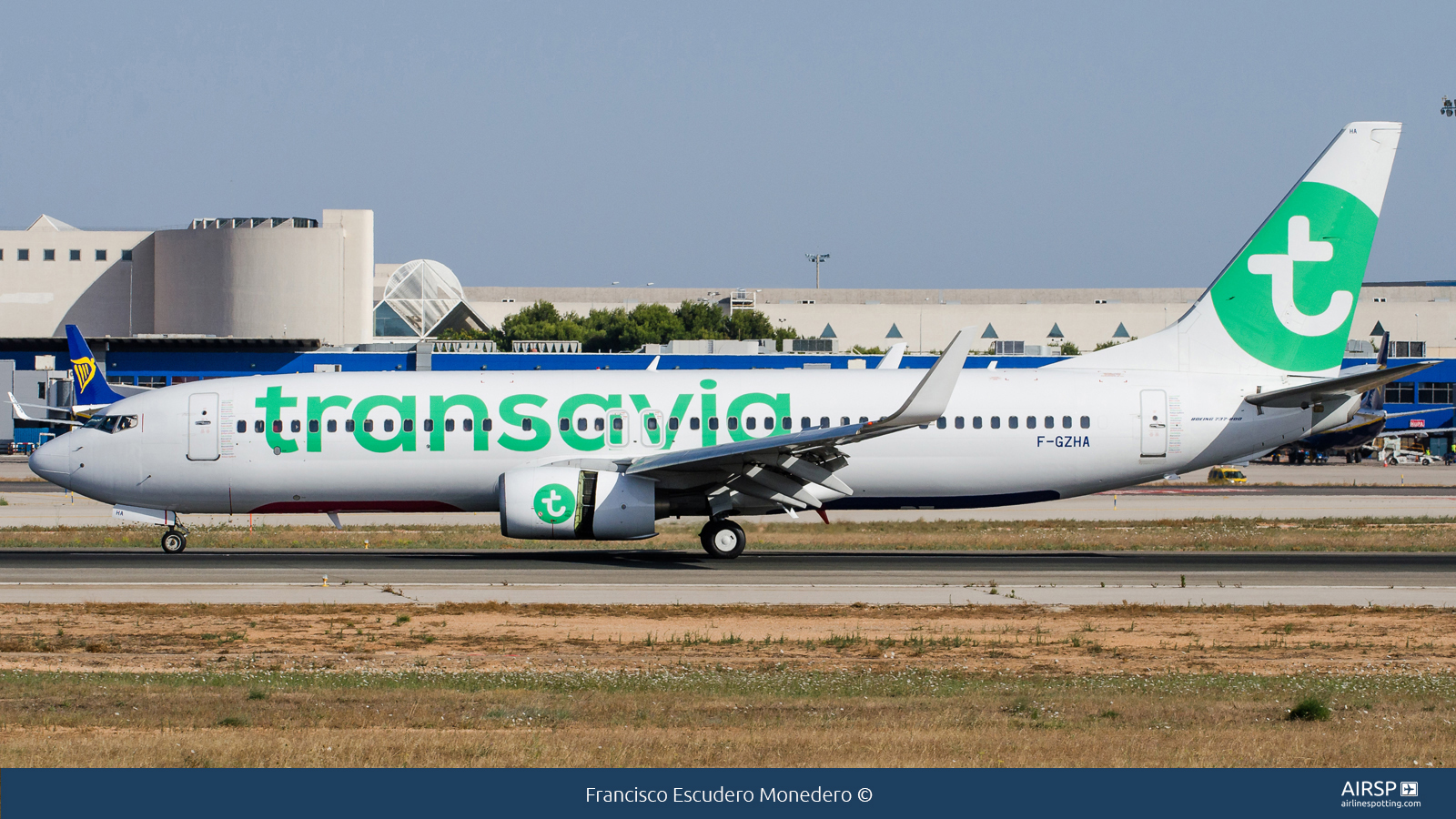 Transavia  Boeing 737-800  F-GZHA