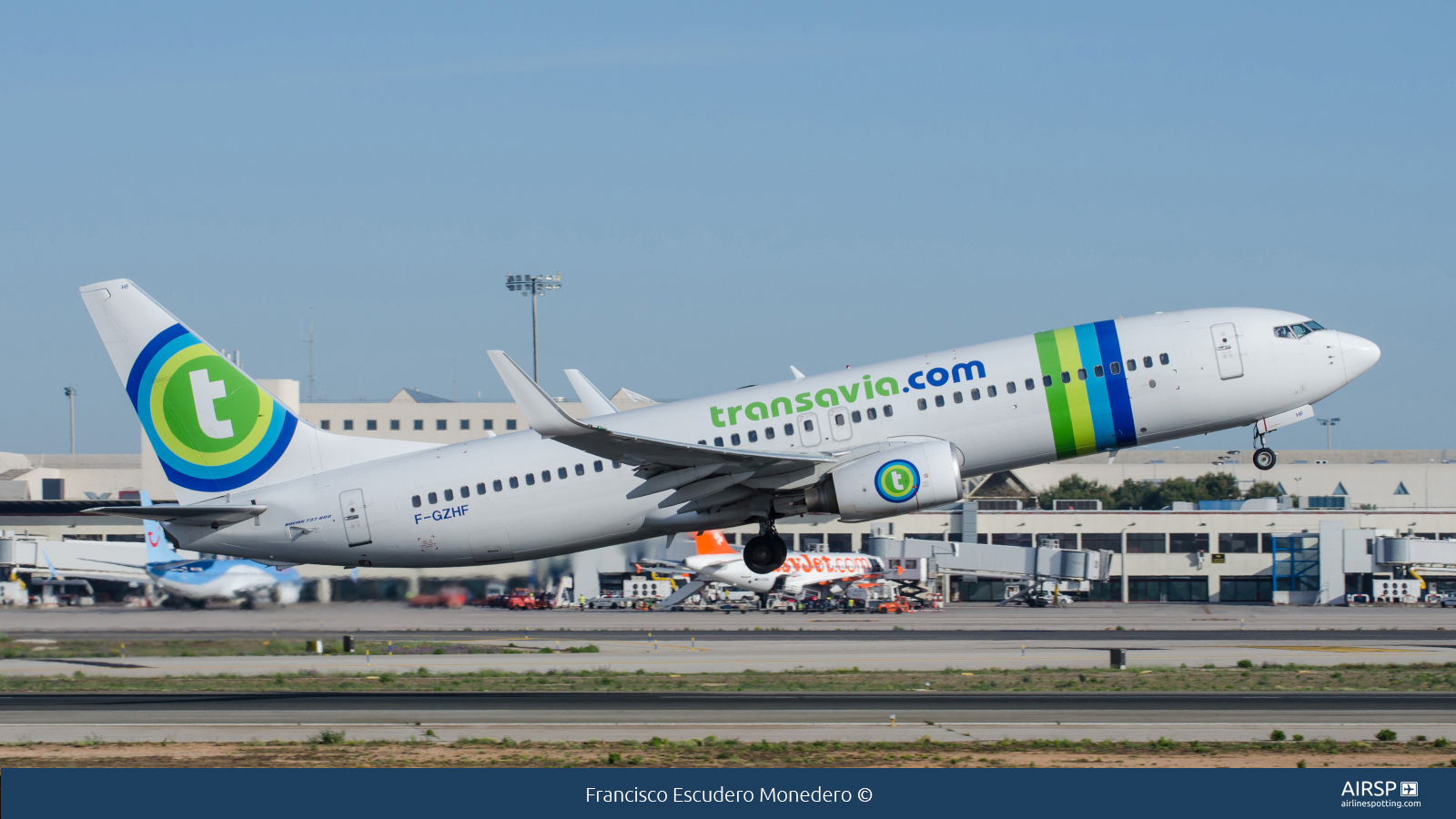Transavia  Boeing 737-800  F-GZHF