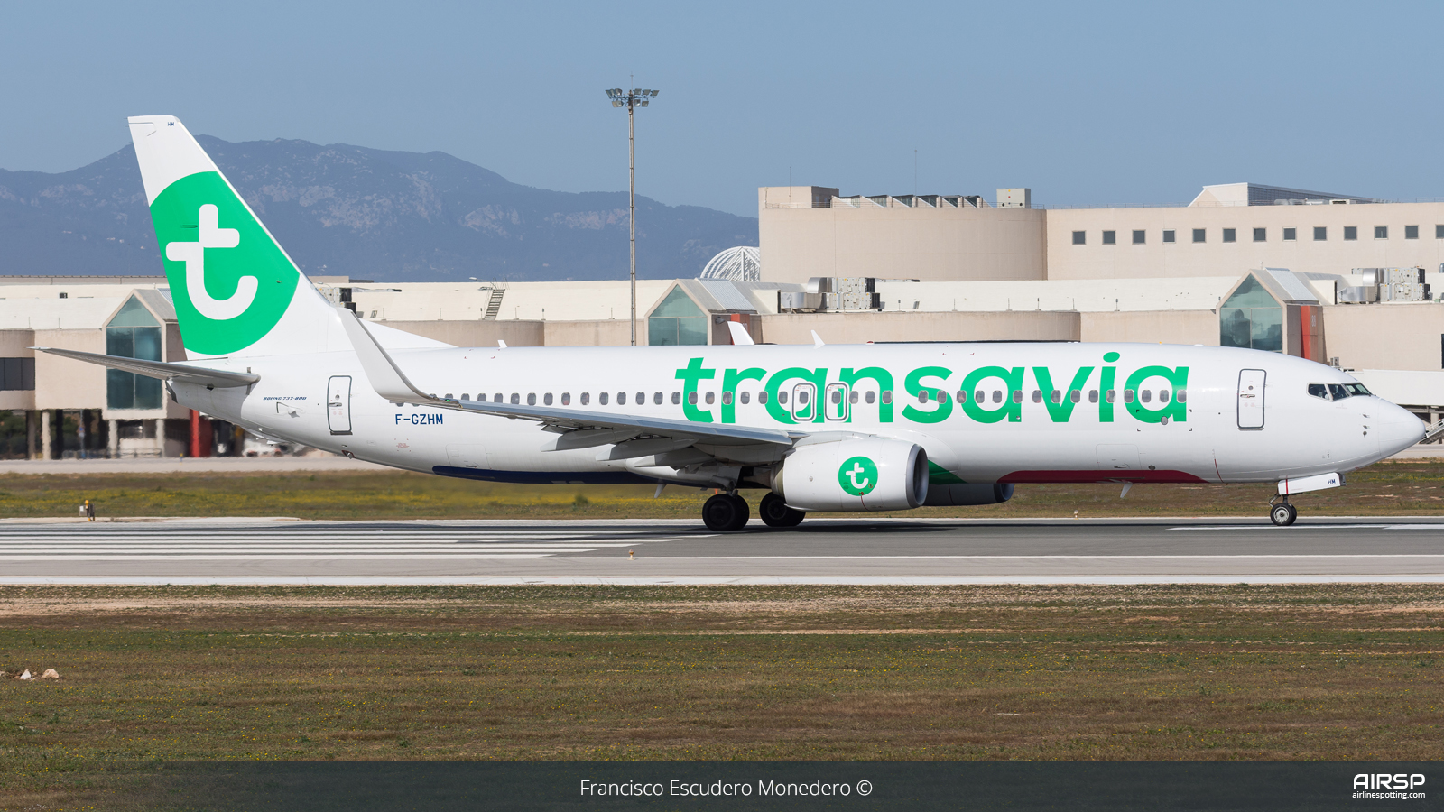 Transavia  Boeing 737-800  F-GZHM