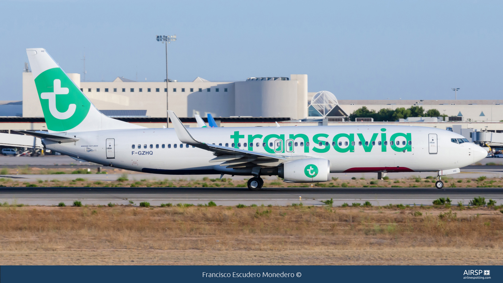 Transavia  Boeing 737-800  F-GZHQ