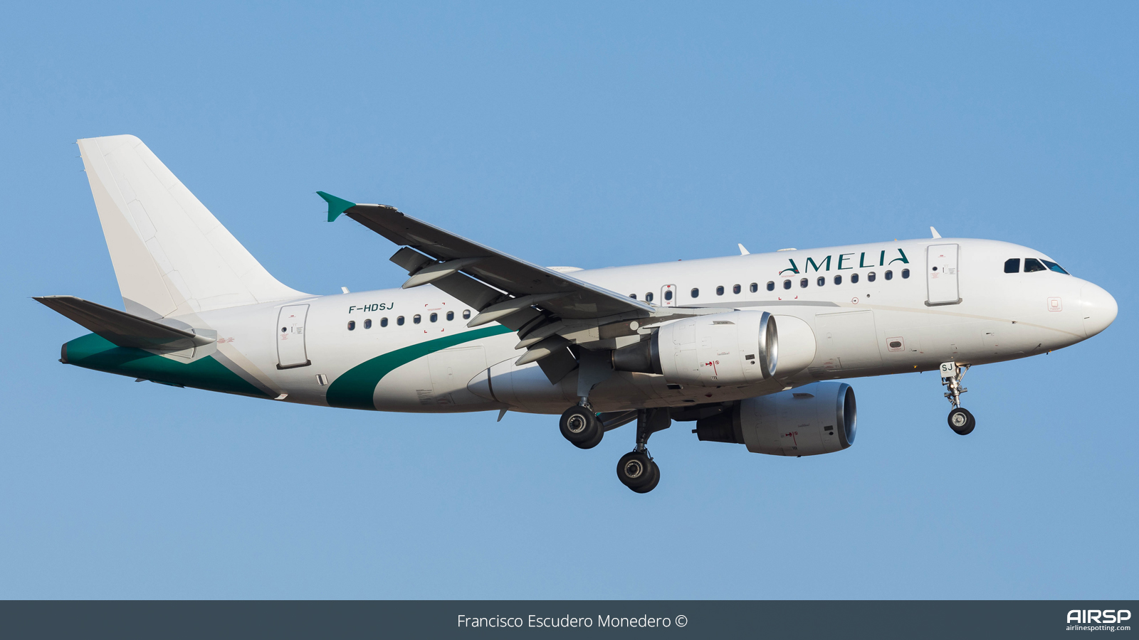 Amelia  Airbus A319  F-HDSJ