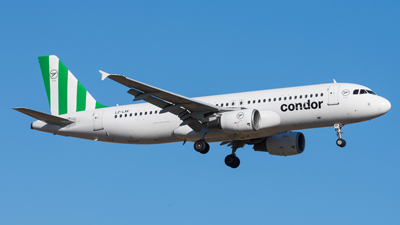 Condor