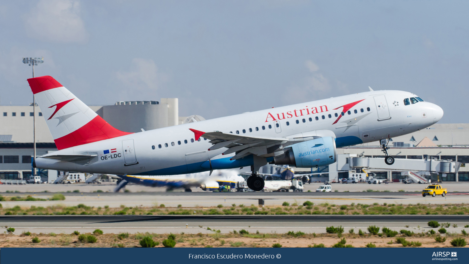 Austrian Airlines  Airbus A319  OE-LDC