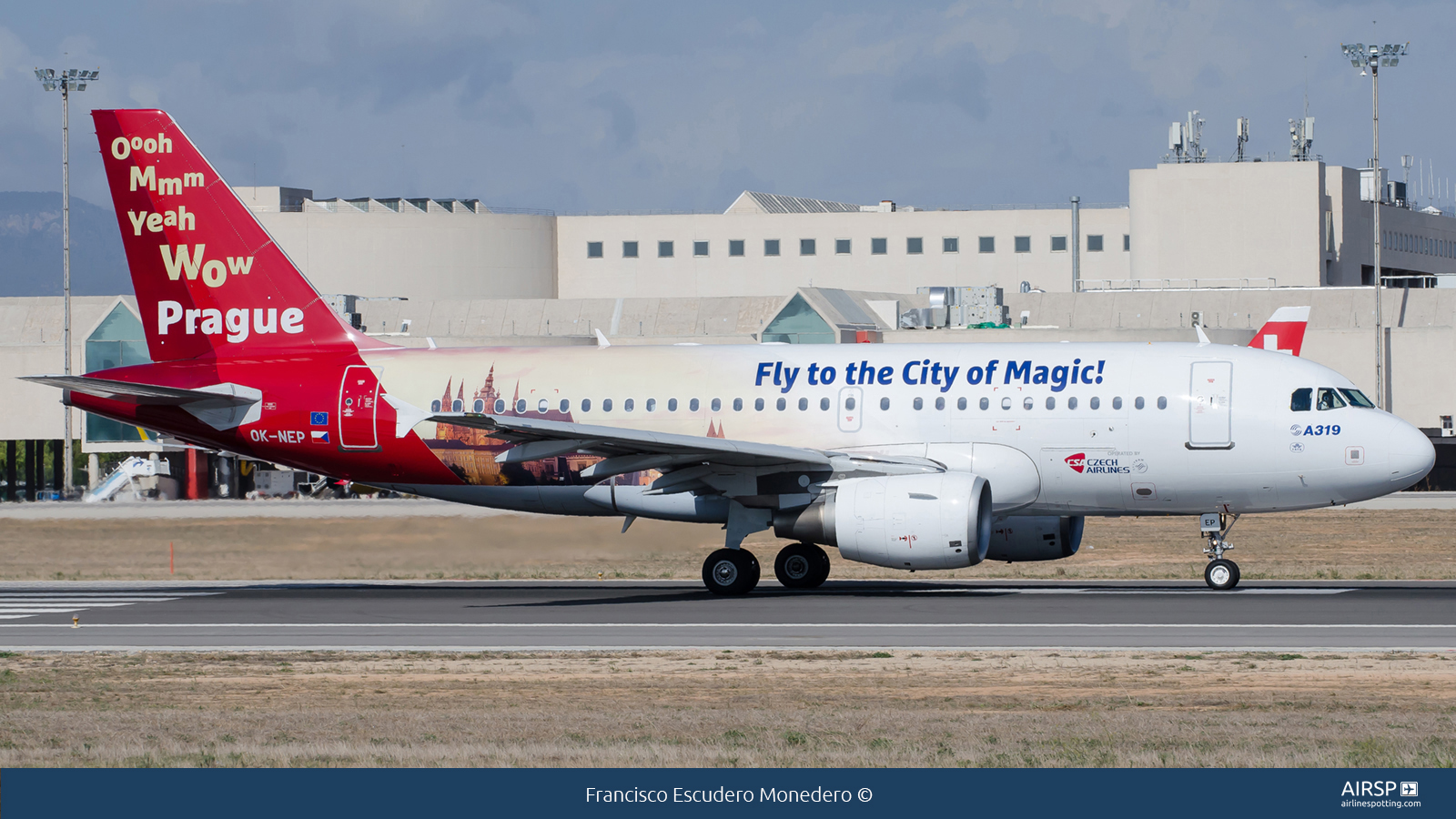 CSA Czech Airlines  Airbus A319  OK-NEP