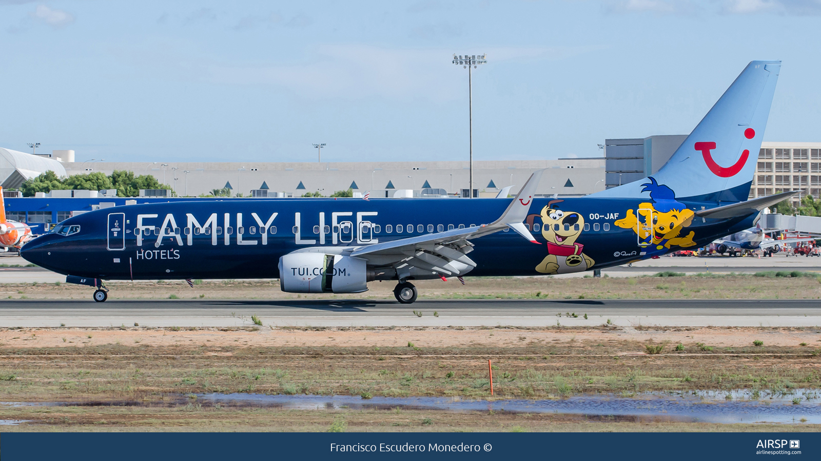 Tui Airways  Boeing 737-800  OO-JAF