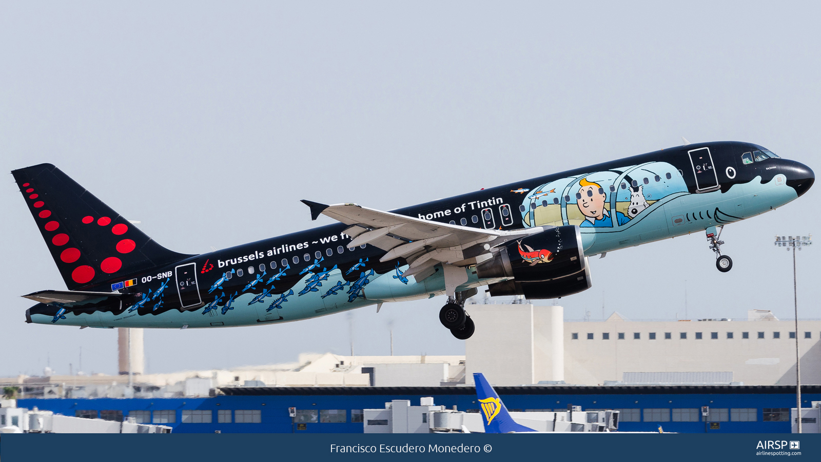 Brussels Airlines  Airbus A320  OO-SNB