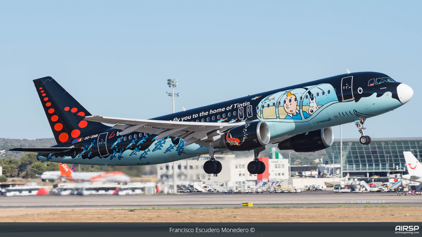 Brussels Airlines  Airbus A320  OO-SNB