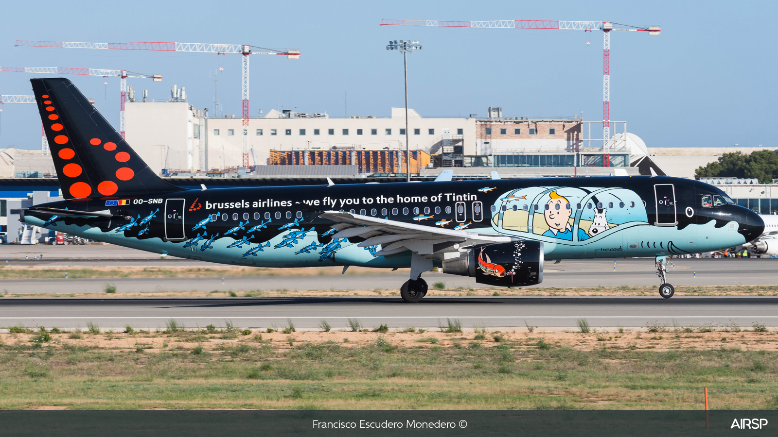 Brussels Airlines  Airbus A320  OO-SNB