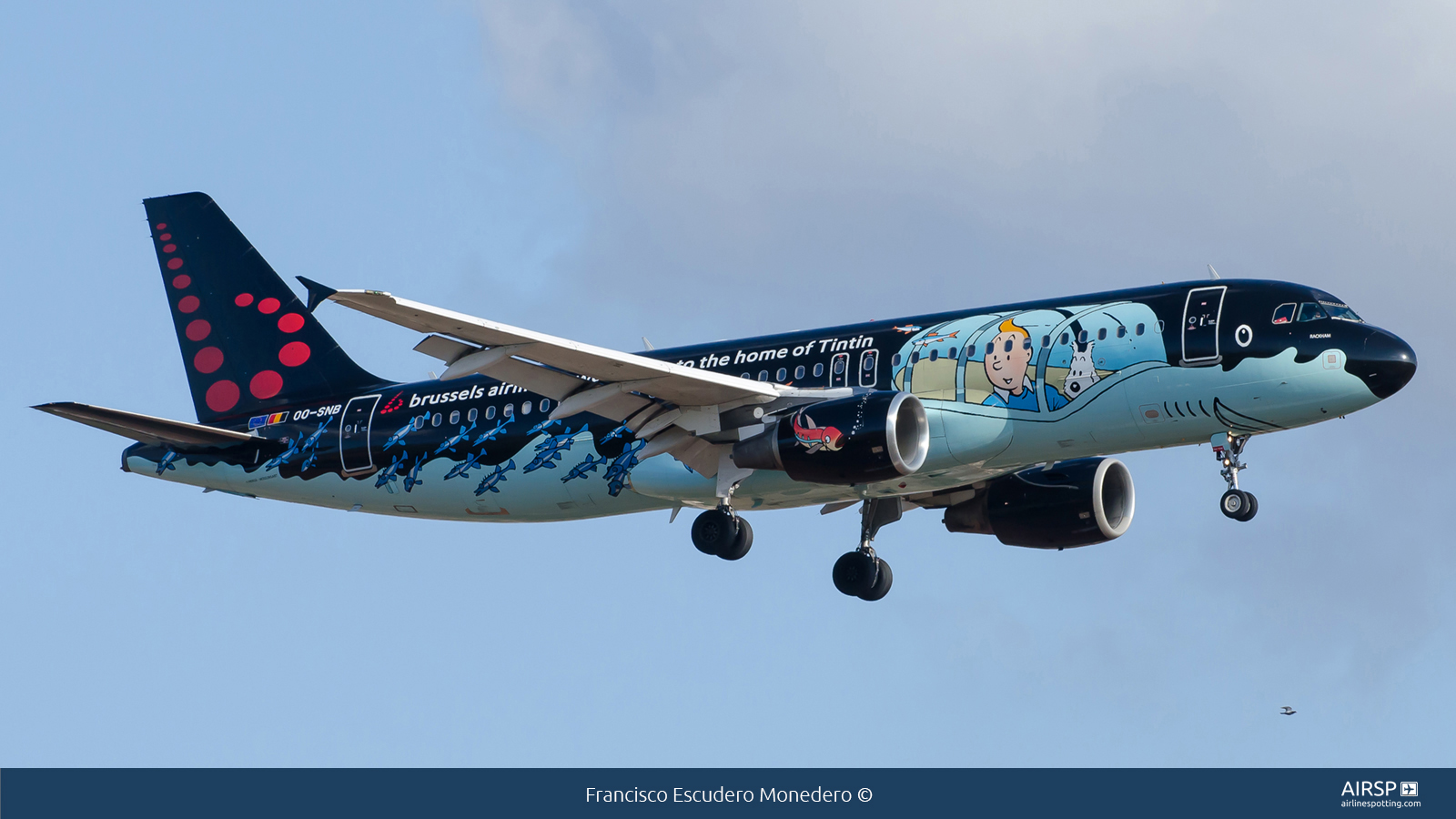 Brussels Airlines  Airbus A320  OO-SNB