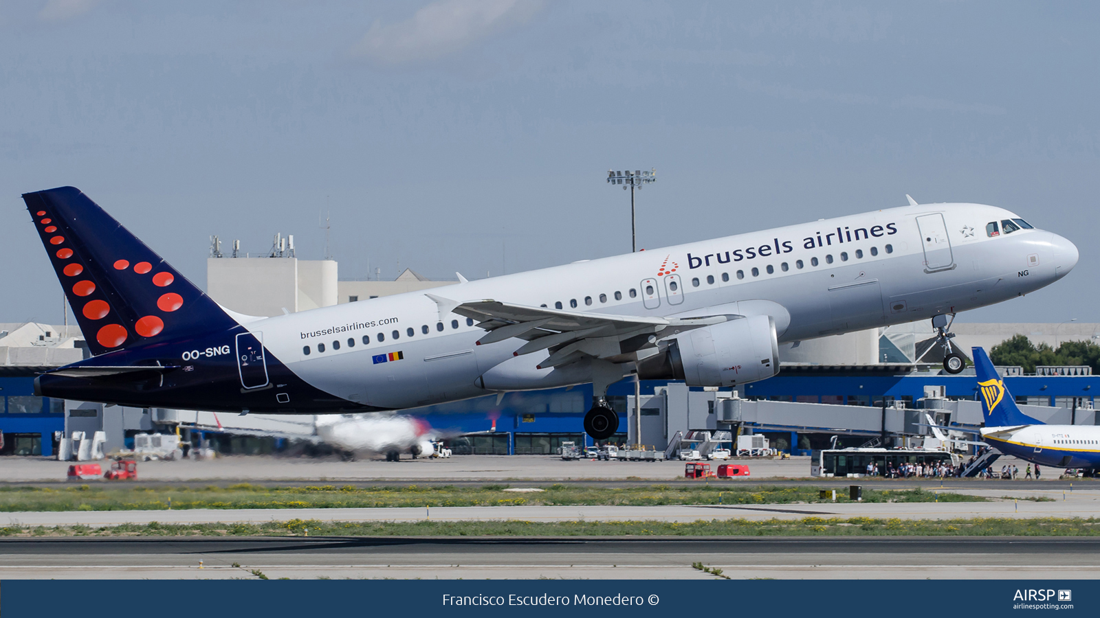 Brussels Airlines  Airbus A320  OO-SNG