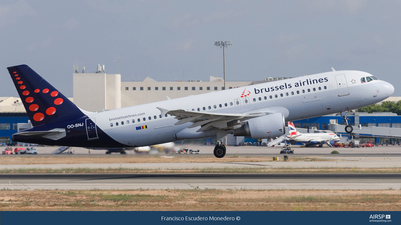 Brussels Airlines  Airbus A320  OO-SNJ