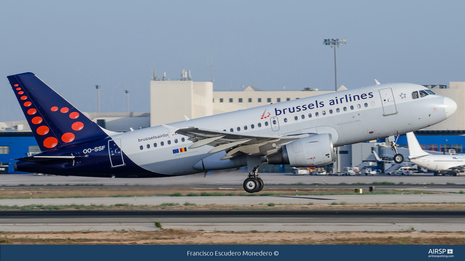 Brussels Airlines  Airbus A319  OO-SSF