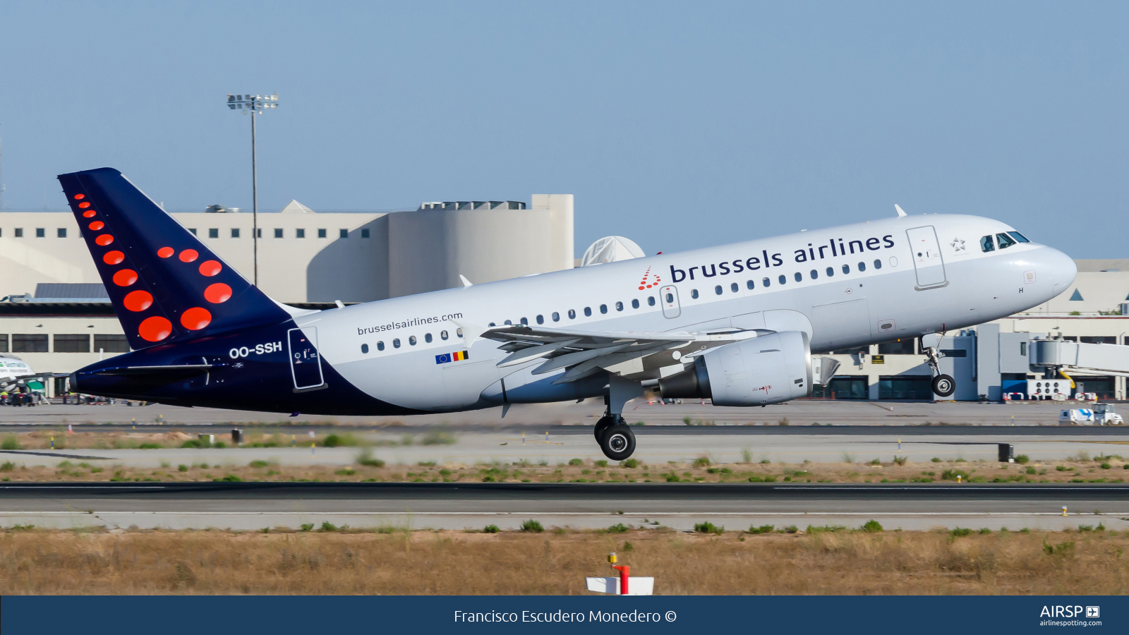 Brussels Airlines  Airbus A319  OO-SSH