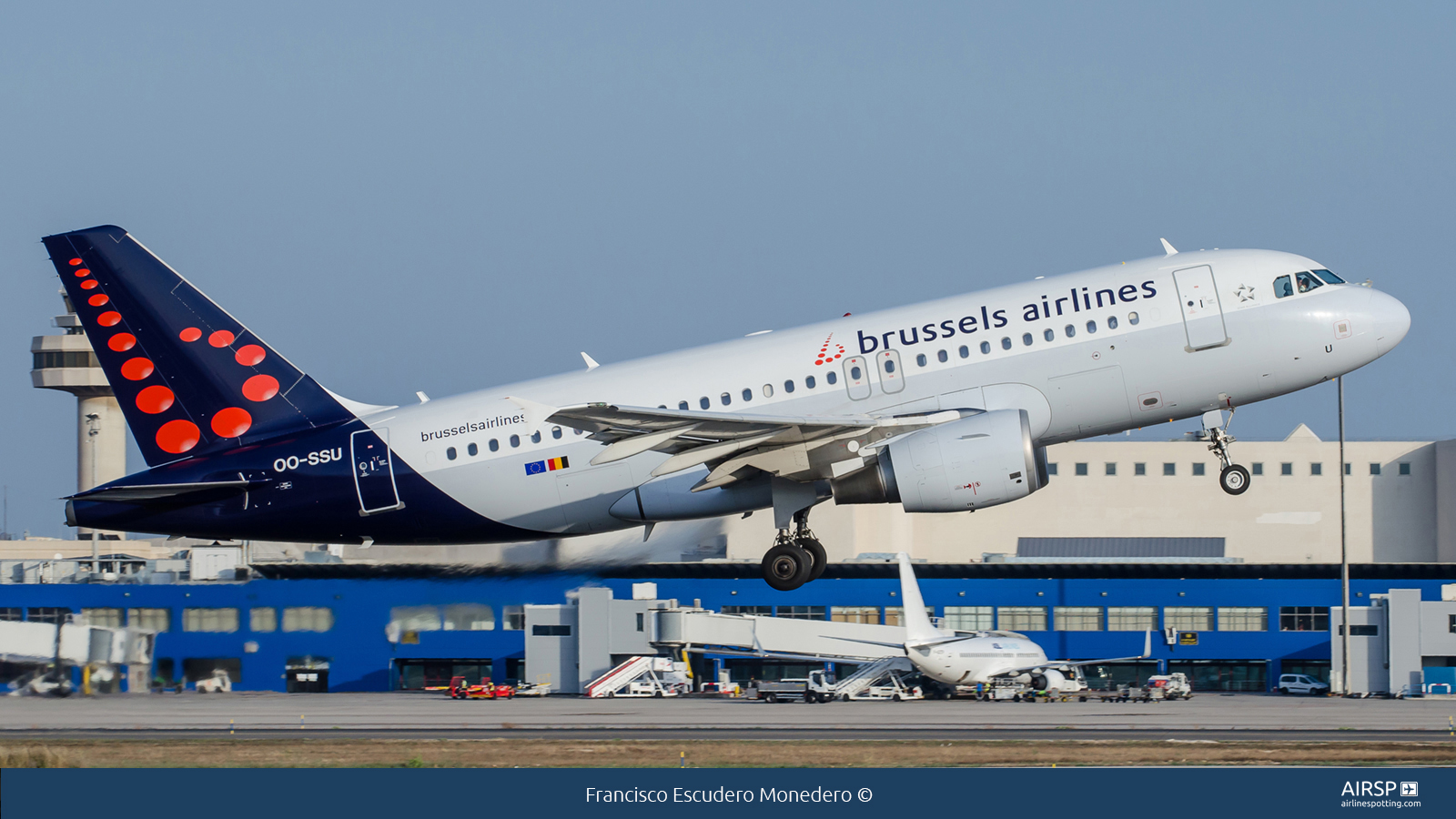 Brussels Airlines  Airbus A319  OO-SSU