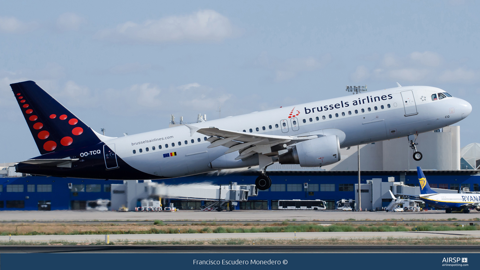 Brussels Airlines  Airbus A320  OO-TCQ