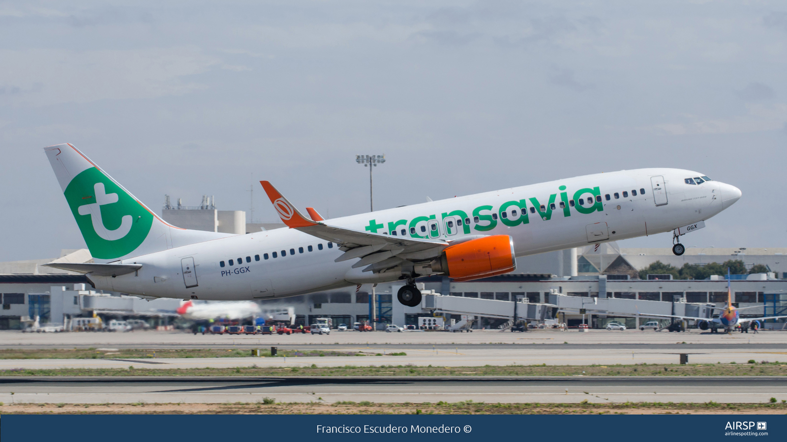 Transavia  Boeing 737-800  PH-GGX