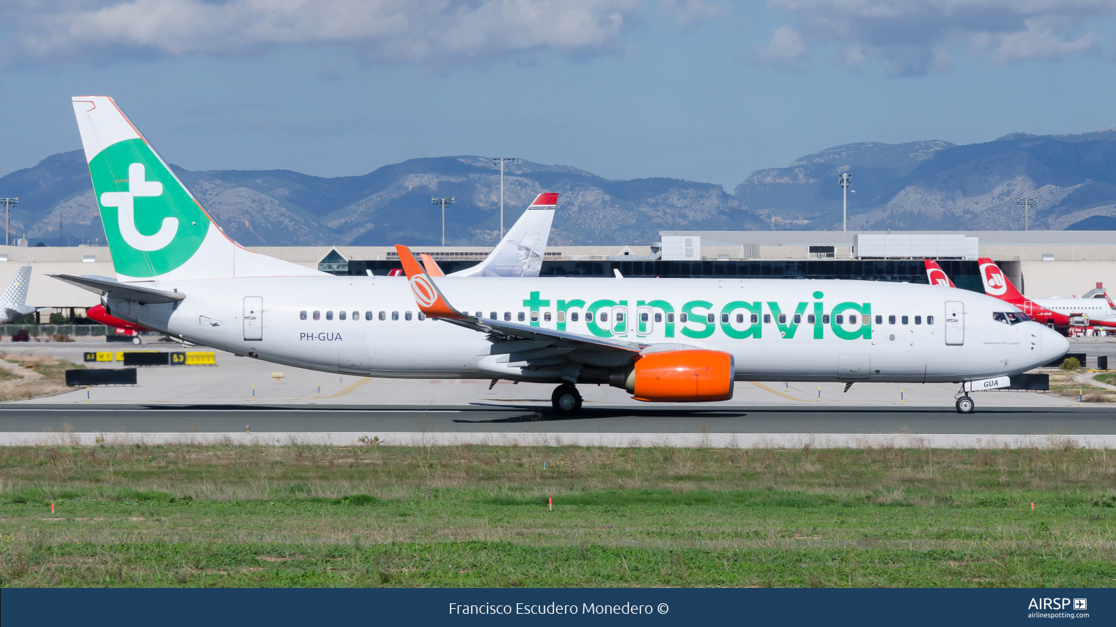 Transavia  Boeing 737-800  PH-GUA