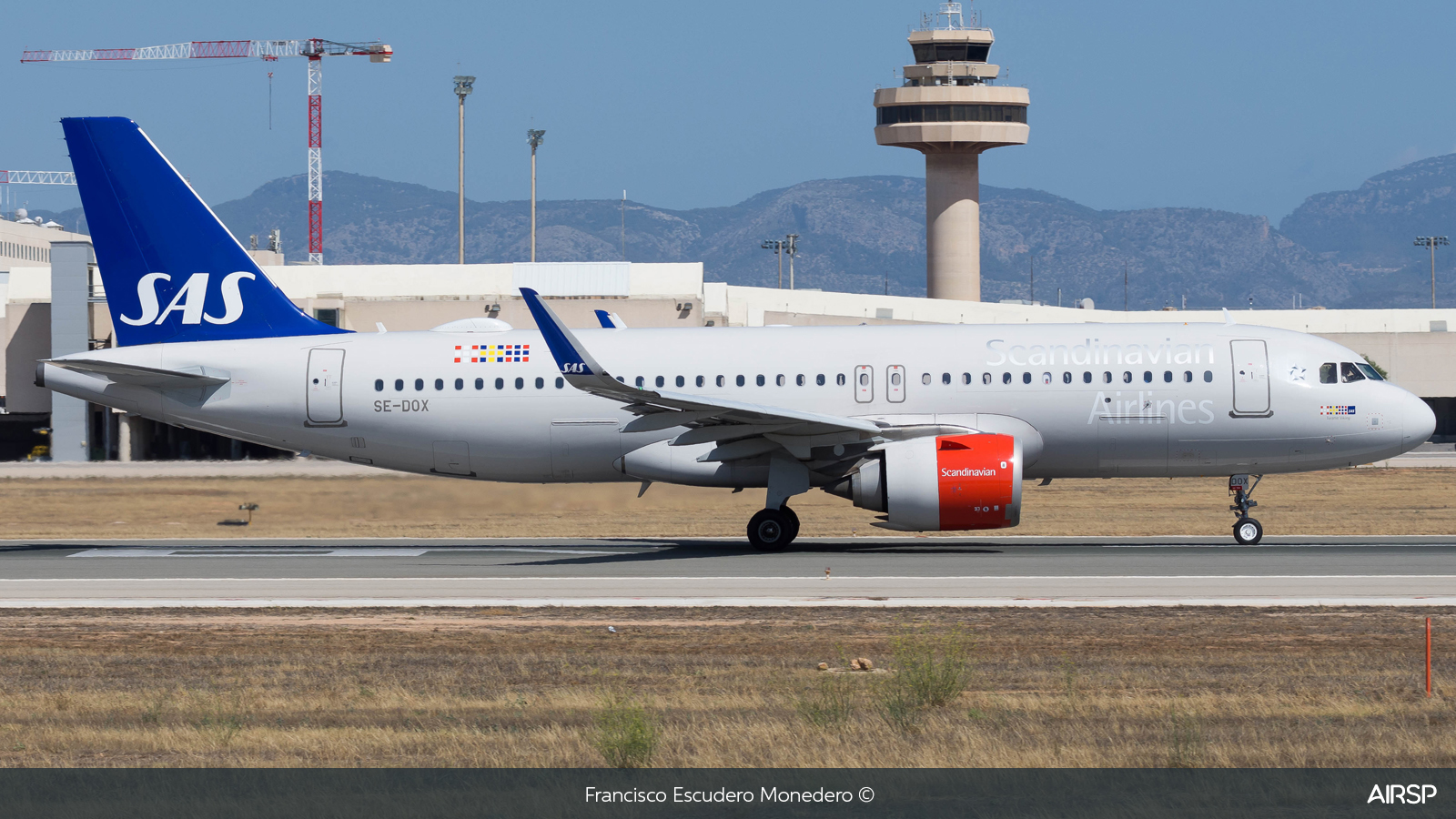 SAS Scandinavian Airlines  Airbus A320neo  SE-DOX