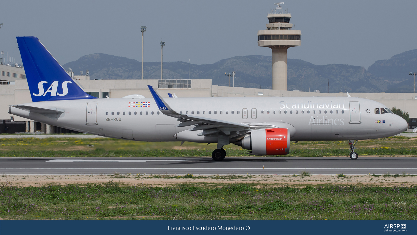 SAS Scandinavian Airlines  Airbus A320neo  SE-ROD