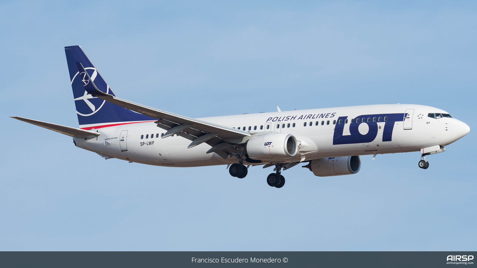 LOT Polish Airlines  Boeing 737-800  SP-LWF