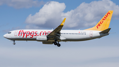 Pegasus Airlines