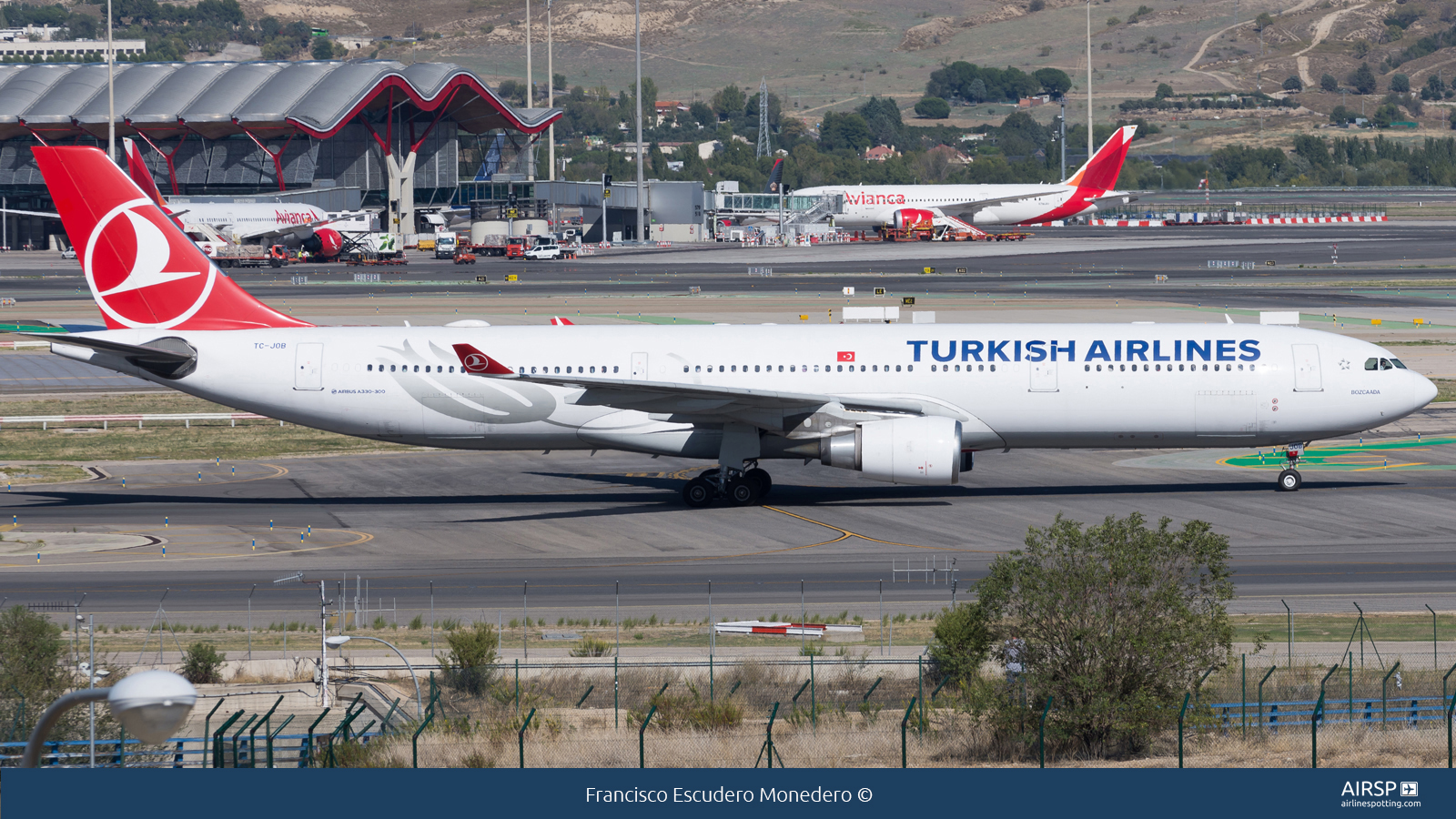 Turkish Airlines  Airbus A330-300  TC-JOB