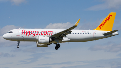 Pegasus Airlines