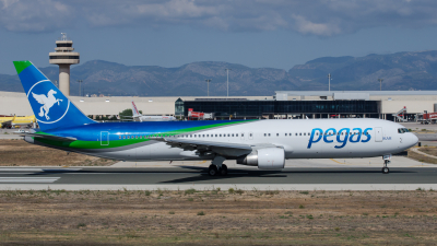 Pegas Fly Boeing 767-300