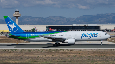 Pegas Fly